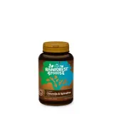 Rainforest Foods Chlorella & Spirulina BIO - 300 таблеток — фото 1
