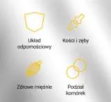 LifeCode, разработанный доктором Максом - липосомальный витамин D 2000 МЕ, 90 капсул — фото 4