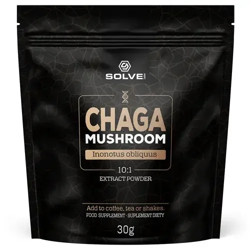 Solve Labs Chaga Mushrom Powder 10:1 - субкорн спиннер, 30 г