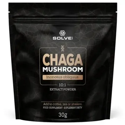 Solve Labs Chaga Mushrom Powder 10:1 - субкорн спиннер, 30 г