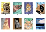Hachette раскраска по номерам Coloriages mystères - Chats et félins(предзаказ, дата выпуска 04.06.2025) — фото 4