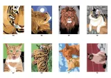 Hachette раскраска по номерам Coloriages mystères - Chats et félins(предзаказ, дата выпуска 04.06.2025) — фото 5