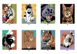 Hachette раскраска по номерам Coloriages mystères - Chats et félins(предзаказ, дата выпуска 04.06.2025) — фото 6