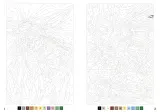 Hachette раскраска по номерам Coloriages mystères - Animaux du monde(предзаказ, дата выпуска 12.03.2025) — фото 2