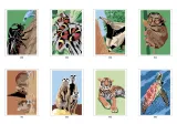 Hachette раскраска по номерам Coloriages mystères - Animaux du monde(предзаказ, дата выпуска 12.03.2025) — фото 4