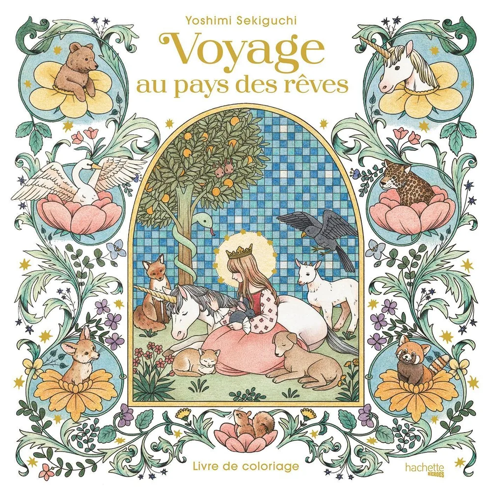 Hachette раскраска по номерам Voyage au pays des rêves - Livre de coloriage