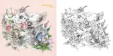 Hachette раскраска по номерам Les créatures de Ken Matsuda - Livre de coloriage — фото 5