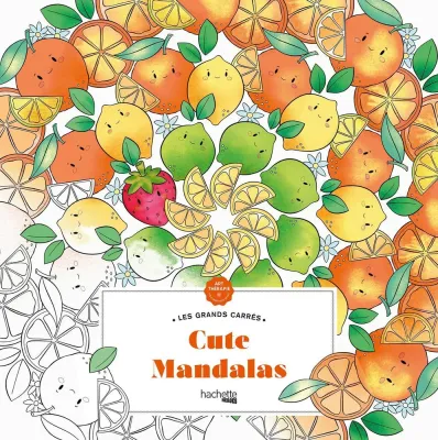 Hachette  раскраска по номерам  Cute mandalas