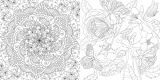 Hachette раскраска по номерам Flower therapy — фото 4