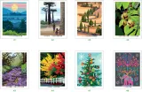 Hachette раскраска по номерам Coloriages mystères - Arbres du monde — фото 4