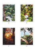 Hachette/ раскраска по номерам/ Coloriages mystères - Forêts du monde — фото 4