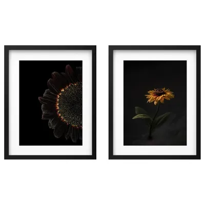 IKEA RÖDALM (ИКЕА РОДАЛМ) — Рамка для плаката, подсолнухи, 40x50 см