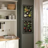 IKEA KNOPPÄNG (ИКЕА КНОППЭНГ) — Рамка для плаката, винтажные ботанические карты с фруктами, 40x50 см — фото 2