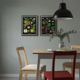 IKEA KNOPPÄNG (ИКЕА КНОППЭНГ) — Рамка для плаката, винтажные ботанические карты с фруктами, 40x50 см — фото 4