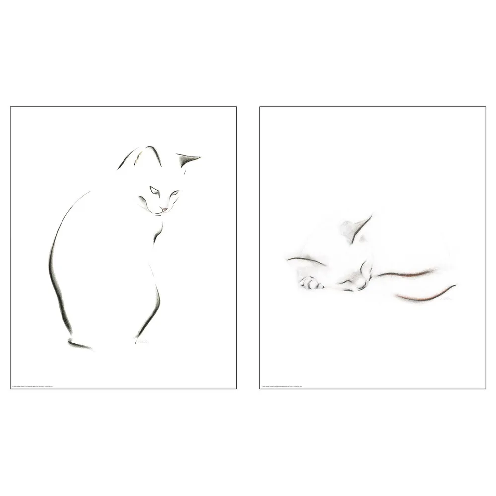 IKEA BILD (ИКЕА БИЛД) — Плакат, эскиз кошки, 40x50 см