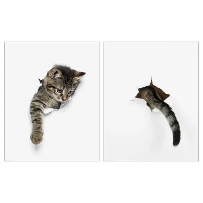 IKEA BILD (ИКЕА БИЛД) — Плакат, внешний вид кошки, 40x50 см