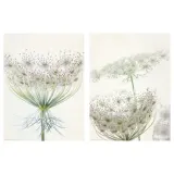 IKEA BILD (ИКЕА БИЛД) — Плакат, цветочный мотив, 30x40 см — фото 1