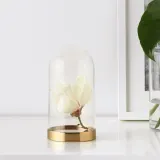 IKEA BEGÅVNING (ИКЕА БЕГОВНИНГ) — Стеклянный купол с основанием, 19 см — фото 2