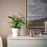 IKEA PÄRLBAND (ИКЕА ПЭРЛБАНД) — Подставка для чайных ламп золотого цвета, 10 см — фото 6