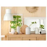 IKEA SOCKERÄRT (ИКЕА СОКЕРЭРТ) — Ваза/кувшин, белый, 16 см — фото 4