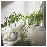 IKEA SMÄLLSPIREA (ИКЕА СМЭЛЛСПИРЕА) — Ваза, прозрачное/узорчатое стекло, 17 см — фото 8