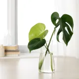 IKEA KARAFF (ИКЕА КАРАФФ) — Графин, прозрачное стекло, 1,0 л — фото 3