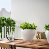 IKEA VIOLA (ИКЕА ВИОЛА) - CORNUTA Горшечное растение, анютины глазки разных цветов, 10 см — фото 2