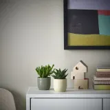 IKEA SUCCULENT (ИКЕА СУССУЛЕНТ) - Растение с горшком, суккулент разных цветов, 6 см — фото 2
