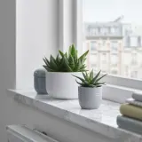 IKEA SUCCULENT (ИКЕА СУССУЛЕНТ) - Растение с горшком, суккулент разных цветов, 6 см — фото 3