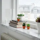 IKEA SUCCULENT (ИКЕА СУССУЛЕНТ) - Растение с горшком, разные/суккуленты, 3 см — фото 2