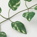 IKEA SMYCKA (ИКЕА СМЙСКА) — Гирлянда искусственная, внутренняя/наружная, 1,5 м — фото 4