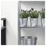 IKEA LAVANDULA (ИКЕА ЛАВАНДУЛА) - Горшечное растение, лаванда, 12 см — фото 4
