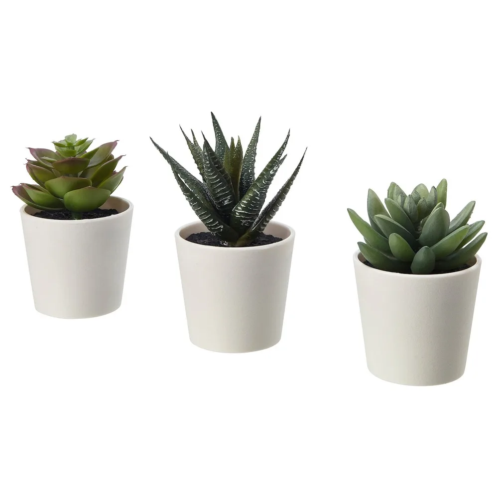 IKEA FEJKA (ИКЕА ФЕЙКА) — Искусственное растение в горшке, комнатное/открытое Суккулент, 6 см 3 шт.