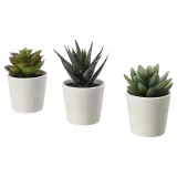 IKEA FEJKA (ИКЕА ФЕЙКА) — Искусственное растение в горшке, комнатное/открытое Суккулент, 6 см 3 шт. — фото 1