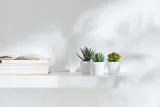 IKEA FEJKA (ИКЕА ФЕЙКА) — Искусственное растение в горшке, комнатное/открытое Суккулент, 6 см 3 шт. — фото 5