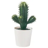 IKEA FEJKA (ИКЕА ФЕЙКА) — Искусственное растение в горшке, комнатное/открытое Кактус, 6 см — фото 1