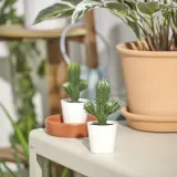IKEA FEJKA (ИКЕА ФЕЙКА) — Искусственное растение в горшке, комнатное/открытое Кактус, 6 см — фото 2