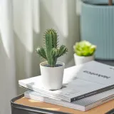 IKEA FEJKA (ИКЕА ФЕЙКА) — Искусственное растение в горшке, комнатное/открытое Кактус, 6 см — фото 4
