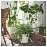 IKEA SOJABÖNA (ИКЕА СОЙАБОНА) — Кашпо для цветка, белое, 19 см — фото 2