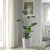 IKEA SOJABÖNA (ИКЕА СОЙАБОНА) — Кашпо, белая, 32 см — фото 5