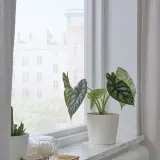 IKEA SOJABÖNA (ИКЕА СОЙАБОНА) — Кашпо, белая, 12 см — фото 4