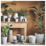 IKEA SOJABÖNA (ИКЕА СОЙАБОНА) — Кашпо, белая, 9 см — фото 4
