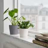 IKEA SOJABÖNA (ИКЕА СОЙАБОНА) — Кашпо, белая, 9 см — фото 5