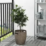 IKEA RÅGKORN (ИКЕА РОГКОРН) — Крышка для цветочного горшка, крытый/открытый, темно-серый/бежевый, 24 см — фото 2