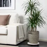 IKEA RÅGKORN (ИКЕА РОГКОРН) — Крышка для цветочного горшка, крытый/открытый, темно-серый/бежевый, 24 см — фото 3