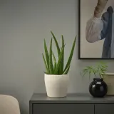 IKEA PERSILLADE (ИКЕА ПЕРСИЛЛАДЕ) — Подгузник, светло-бежевый, 12 см — фото 4