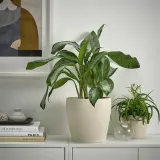 IKEA PERSILLADE (ИКЕА ПЕРСИЛЛАДЕ) — Подставка для посуды, светло-бежевая, 19 см — фото 3
