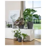 IKEA PERSILLADE (ИКЕА ПЕРСИЛЛАДЕ) — Кашпо, темно-серая, 19 см — фото 4