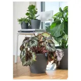 IKEA PERSILLADE (ИКЕА ПЕРСИЛЛАДЕ) — Кашпо, темно-серая, 24 см — фото 3