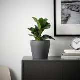 IKEA PERSILLADE (ИКЕА ПЕРСИЛЛАДЕ) — Кашпо, темно-серая, 15 см — фото 2